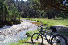 Cycling