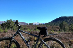 Cycling