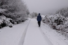 Snowy Caledonian Canal