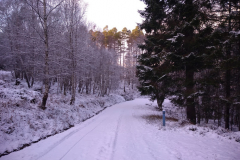 Snowy Great Glen Way