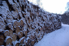 Log Stack