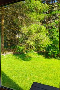 A view out the back window