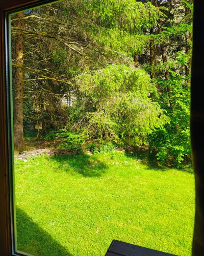 A view out the back window